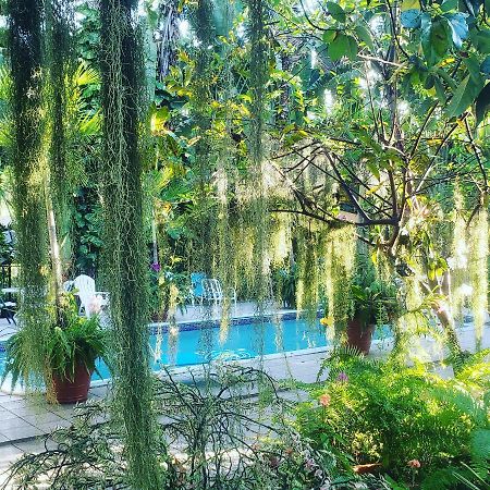Orchid Cottage Кингстън Екстериор снимка