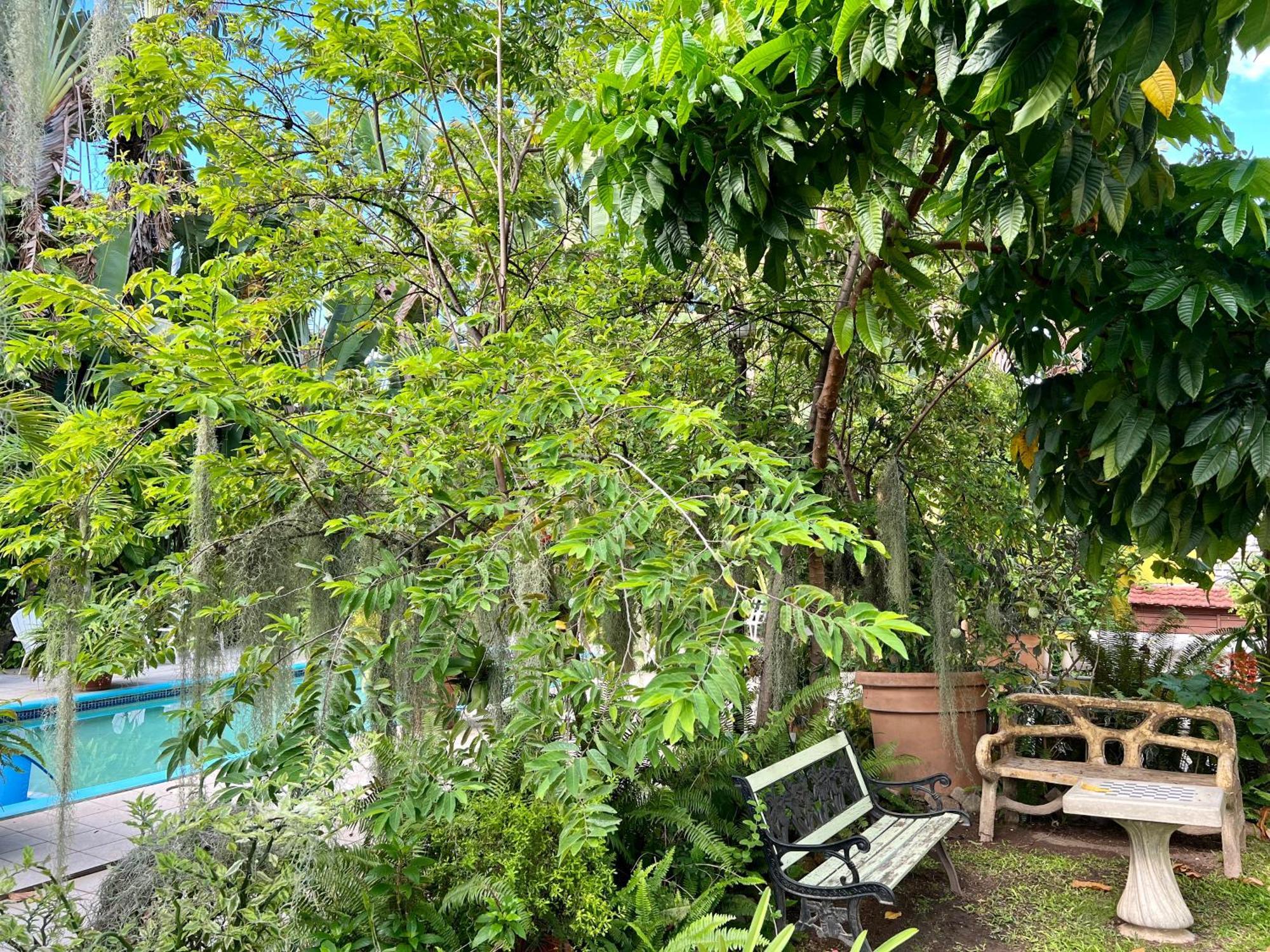 Orchid Cottage Кингстън Екстериор снимка