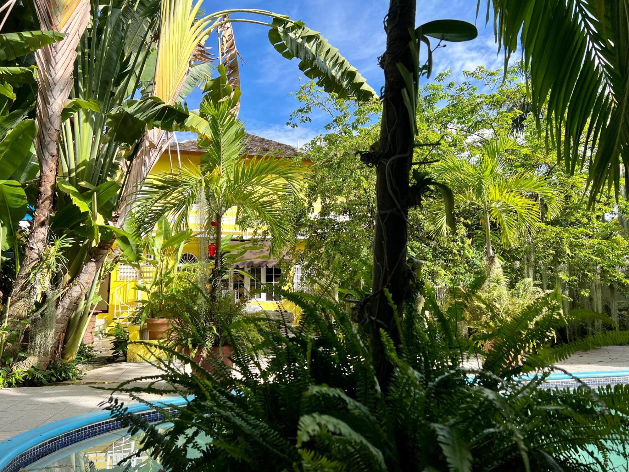 Orchid Cottage Кингстън Екстериор снимка