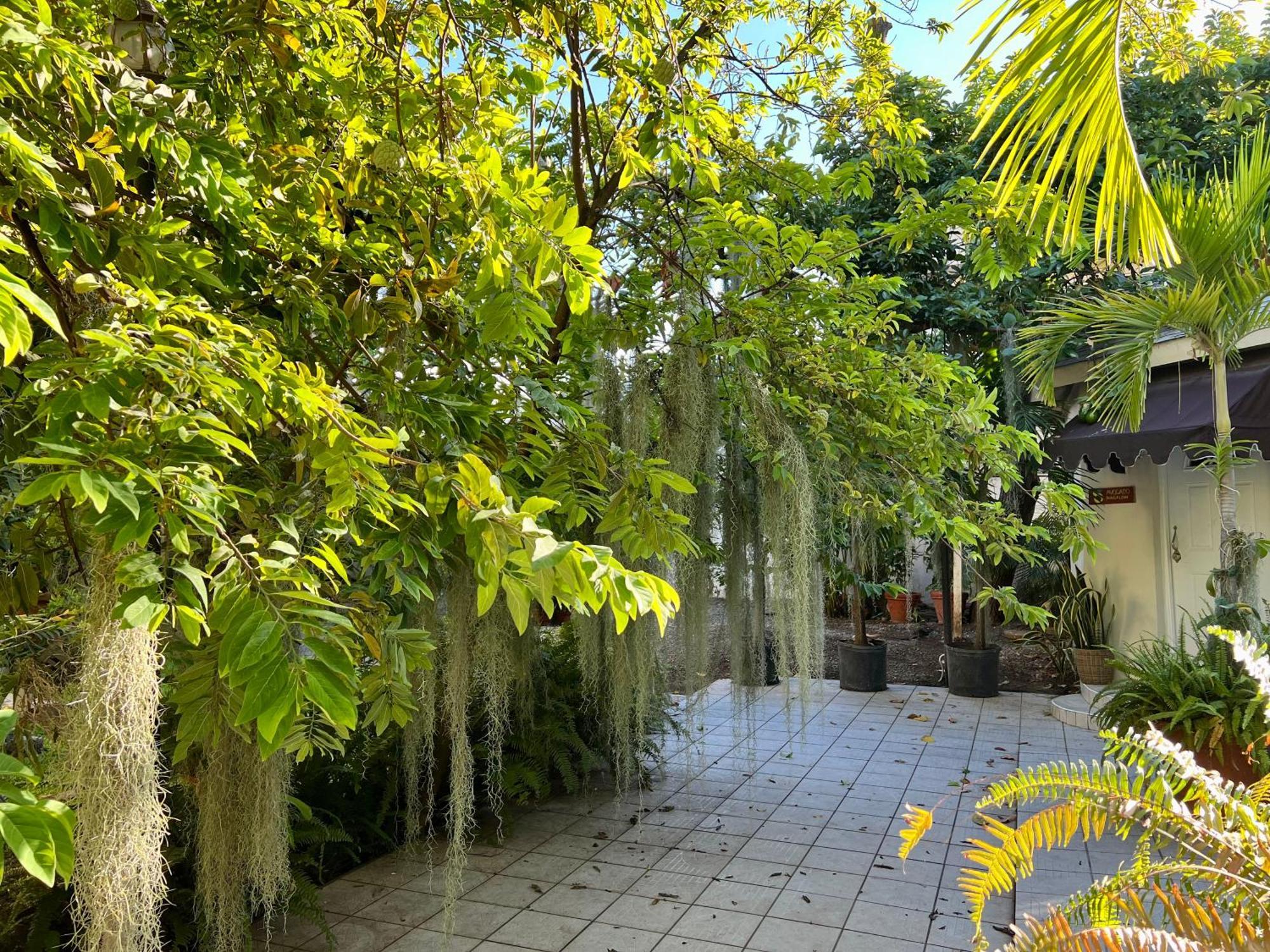 Orchid Cottage Кингстън Екстериор снимка