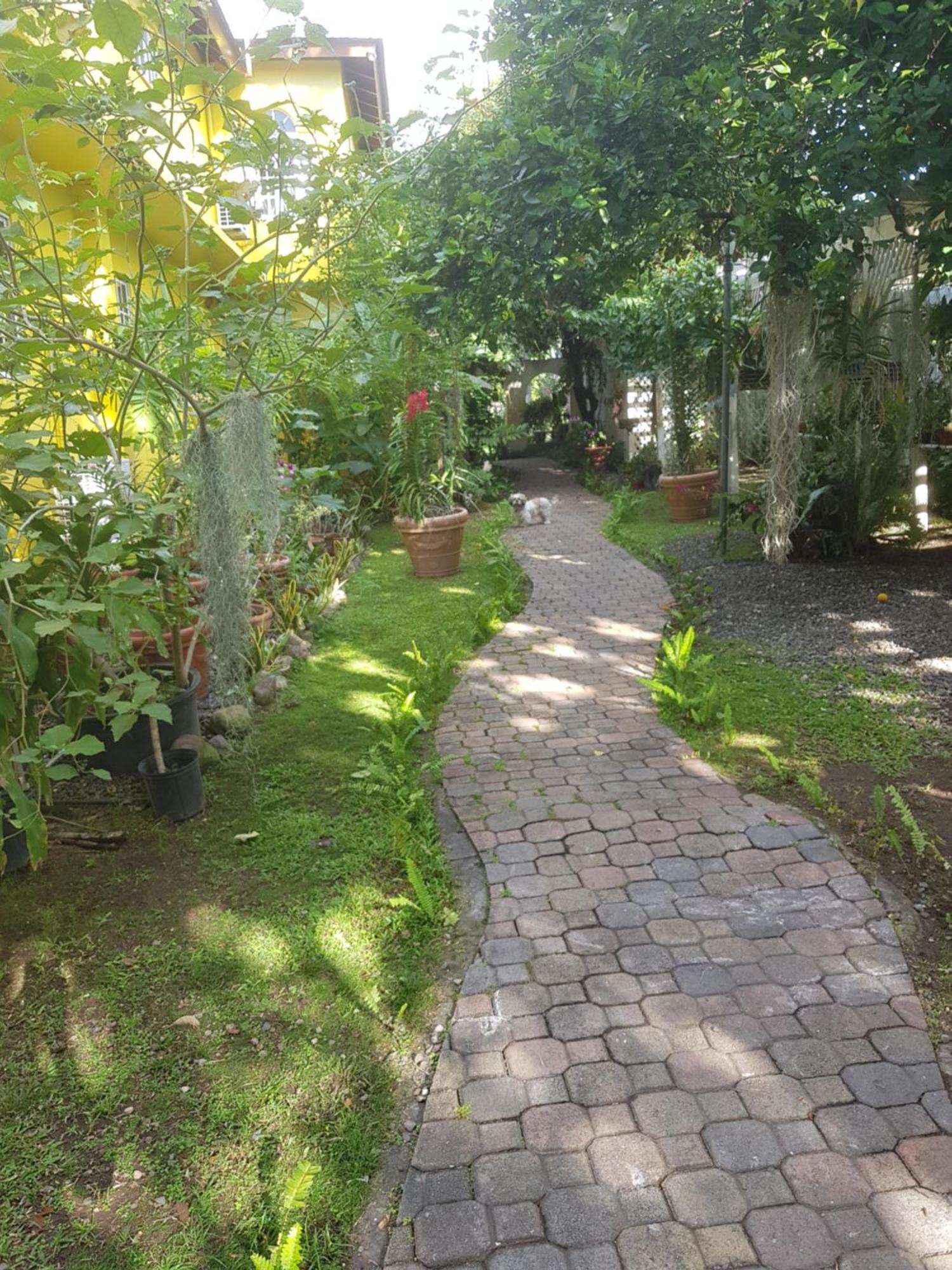 Orchid Cottage Кингстън Стая снимка