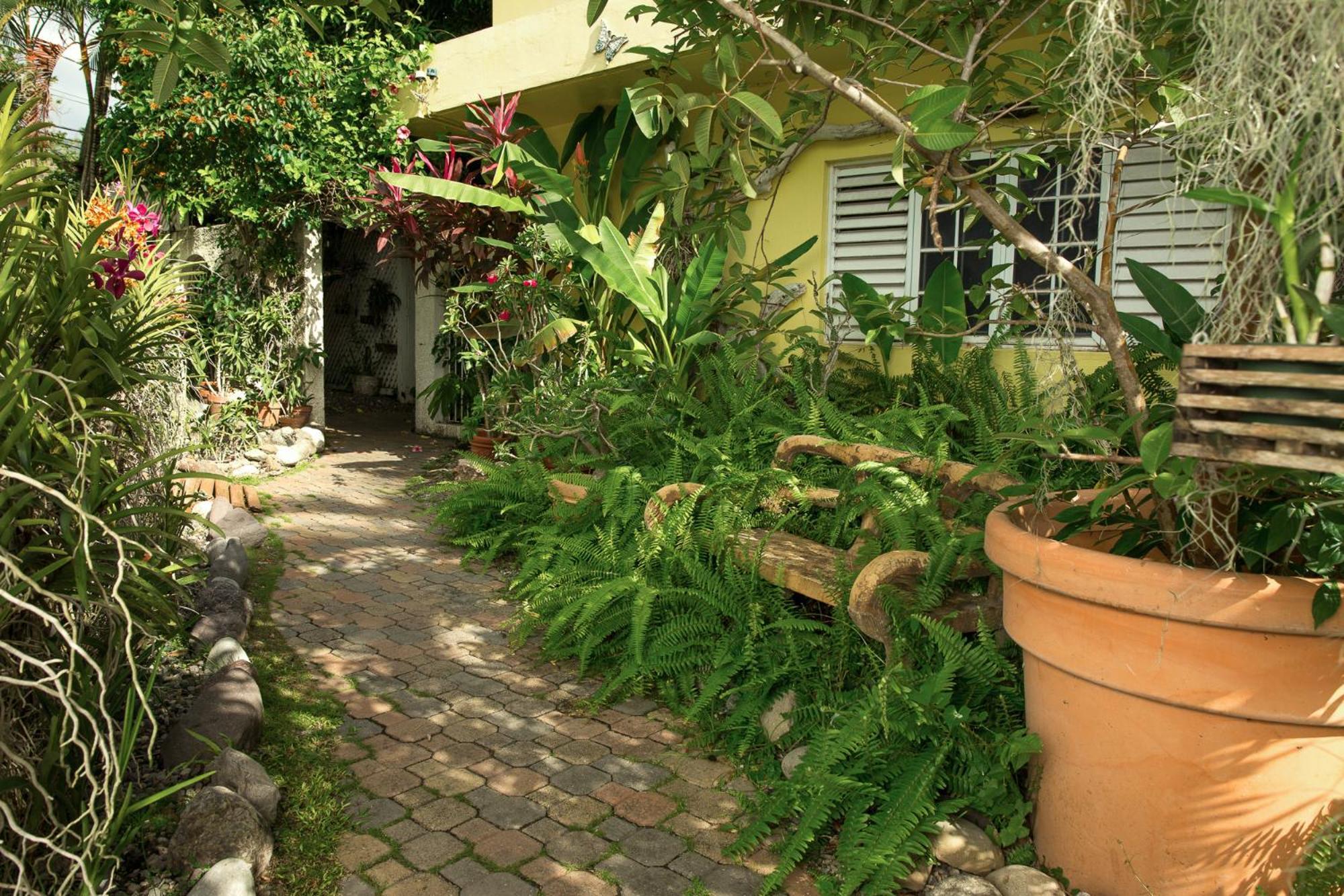 Orchid Cottage Кингстън Стая снимка