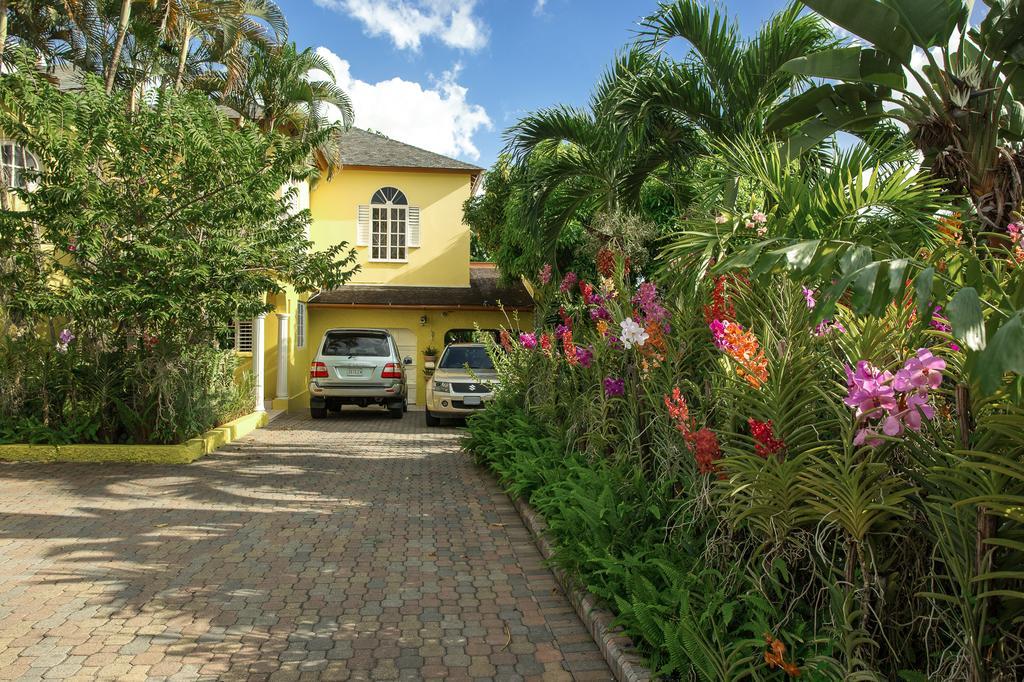Orchid Cottage Кингстън Екстериор снимка