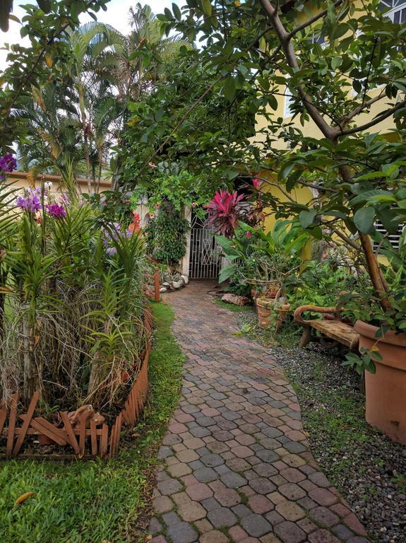 Orchid Cottage Кингстън Екстериор снимка