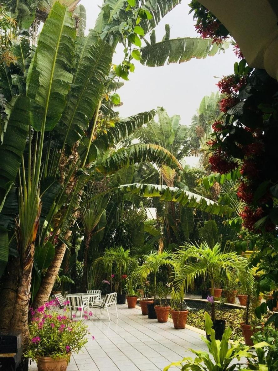 Orchid Cottage Кингстън Стая снимка