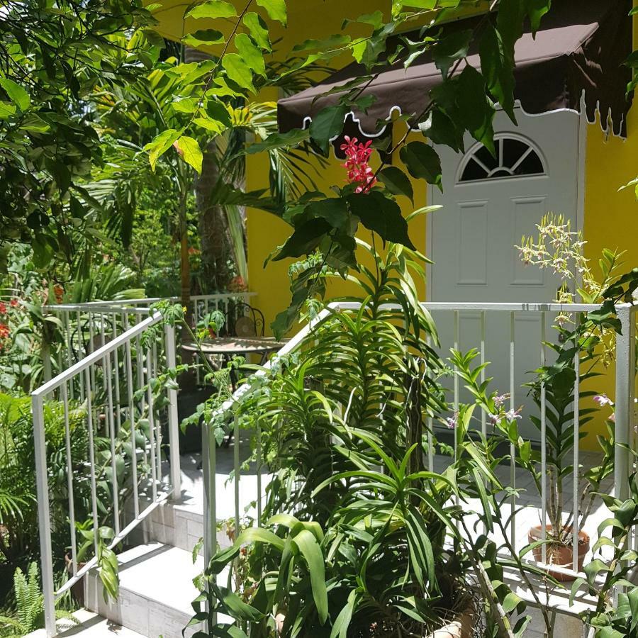 Orchid Cottage Кингстън Екстериор снимка